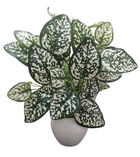 Image of Artificial Money Plant /Tree with Pot, White-Green | Natural Looking, Ornamental Plant, Interior Decor, Home /Shop /Office Decor