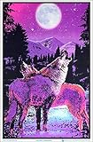 Timberwolves Howling at Moon - Flocked Blacklight Poster - 23' x 35'