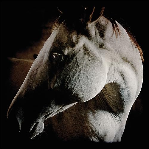 How to Kill a Horse