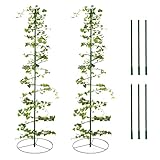 2 Pack Stainless Steel Plant Supporter with 6 Stands- Spiral Vegetable Plant Support Stakes Stretchable Garden Support Rings Cage for Garden Balcony Yard Tomato Veggie Vine Plants Growing Climbing