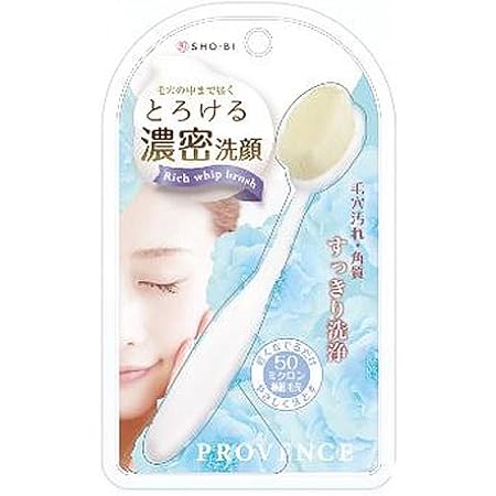 リッチホイップブラシ コンパクト SPV71142