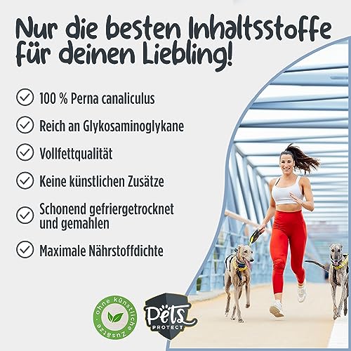 Pets PROTECT 100% Grünlippmuschel-Pulver für Gelenk-Funktion | Sehr hoher Gehalt an Glykosaminoglykanen (3,5%) | Beste Vollfettqualität | Ohne Zusätze | Hund & Katze | 150 g Grünlippmuschelpulver