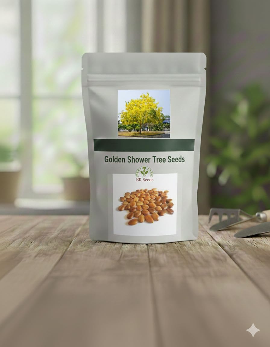Cassia fistula seeds,Sarakkontrai,Golden Shower Tree,Pudding Pipe Tree- Indian Laburnum - Pack of 100 g