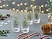 Spode Christmas Tree 15oz Highball Glasses, Set of 4 - Gold-Rimmed Elegant Holiday-Themed Glassware, Festive Holiday Drinkware for Christmas Parties, New Year’s Toasts & Festive Occasions