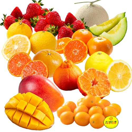 青果店厳選!「くだもの定期便Vol.1」(全9回) フルーツ 果物 いちご 完熟 きんかん たまたま 種なし 日向夏 マンゴー メロン 温州 みかん 不知火 柑橘 定期便 青果店 厳選 旬 常温 冷蔵