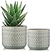 Produktbild Set aus 2 Blumentopf Keramik für Sukkulenten mit speziellem Streifenmuster, Zylinder, blumentopf für Sukkulenten, Orchideen, Kräuter Indoor und Outdoor, Durchmesser 15 cm/12 cm