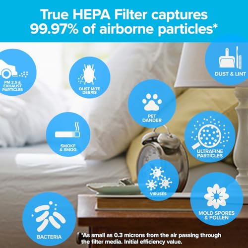 Filtrete F2 Room Air Purifier Filter, True HEPA Premium Allergen, Bacteria, and Virus, 13 in. x 8.2 in., 2-Pack, works with devices: FAP-C02, FAP-C03, FAP-SC02, and FAP-T03 - Thumbnail 3