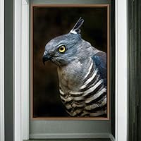 Framed Canvas Wall Art Single Bird Birds Expressive Farmhouse/Country Multicolor Photography Portrait Single - 16x24 inches