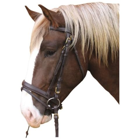Kerbl 321179 Trensenzaum, Leder Kaltblut braun Cover