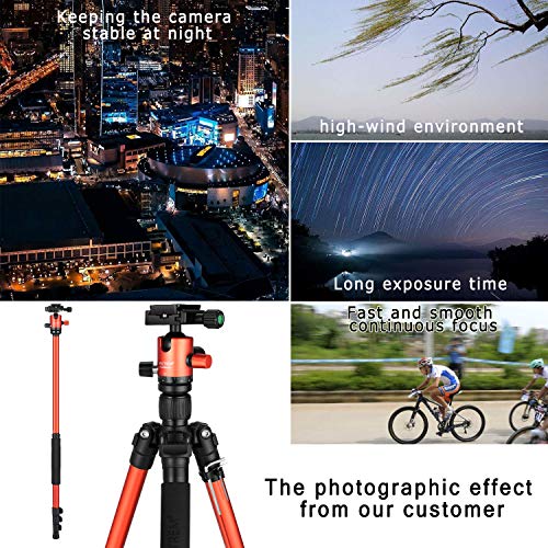 MACTREM Professional Camera Tripod with Phone Mount, 62" DSLR Tripod for Travel, Super Lightweight and Reliable Stability, Ball Head Tripod Detachable Monopod with Carry Bag (Orange) - Thumbnail 3
