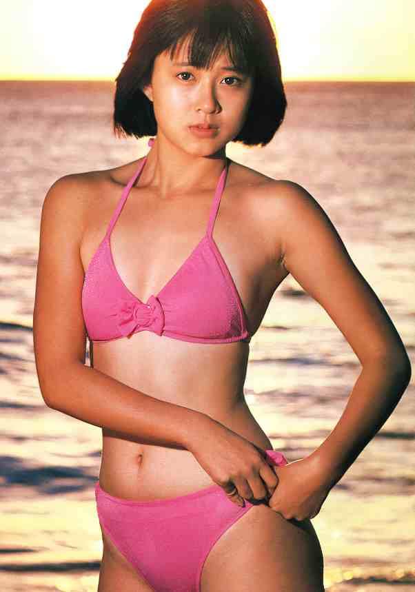 Amazon.co.jp: 松本典子 1485 A4（20CM×29CM） : ホーム＆キッチン