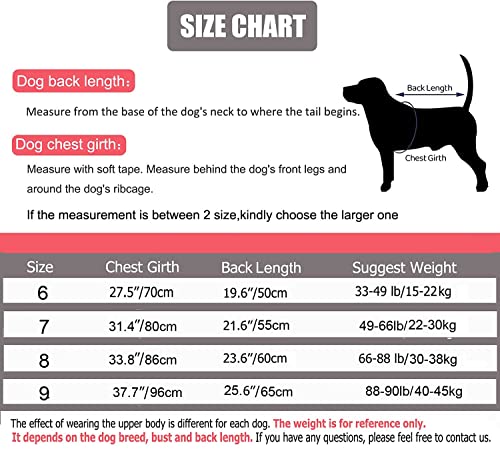 BT Bear Large Dog Clothes - Image 3