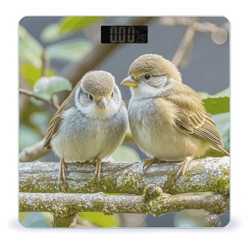 Báscula digital de baño Kiwi Birds Cute para hasta 400 lb miniatura 1