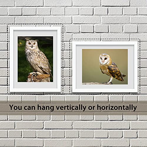 Image of VCK 18x24 Poster Frame Solid Wood White 3 Pack Picture Frames 18 x 24 Inches with Wall Mounting Hanging