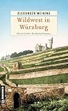 Wildwest in Würzburg: Historischer Kriminalroman (Assessor Georg Hiebler)