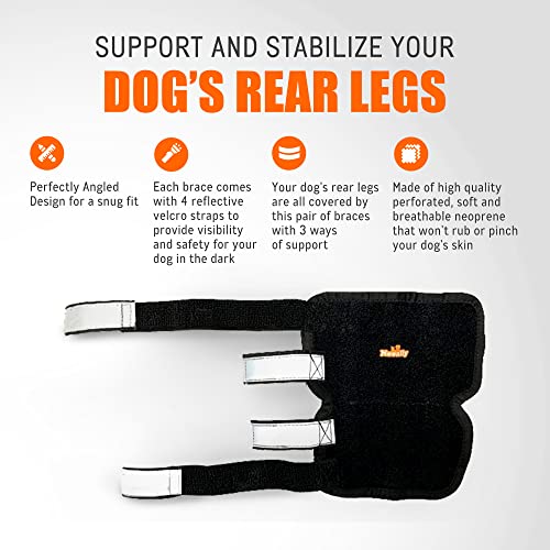 Image of NeoAlly - 3-in-1 Long Rear Leg Hock Brace, Dog Leg Brace for Rear Leg with Rigid & Spring Inserts, Hock and Ankle Support, Dog Leg Sleeve with Reflective Straps, Small, 1 Pair