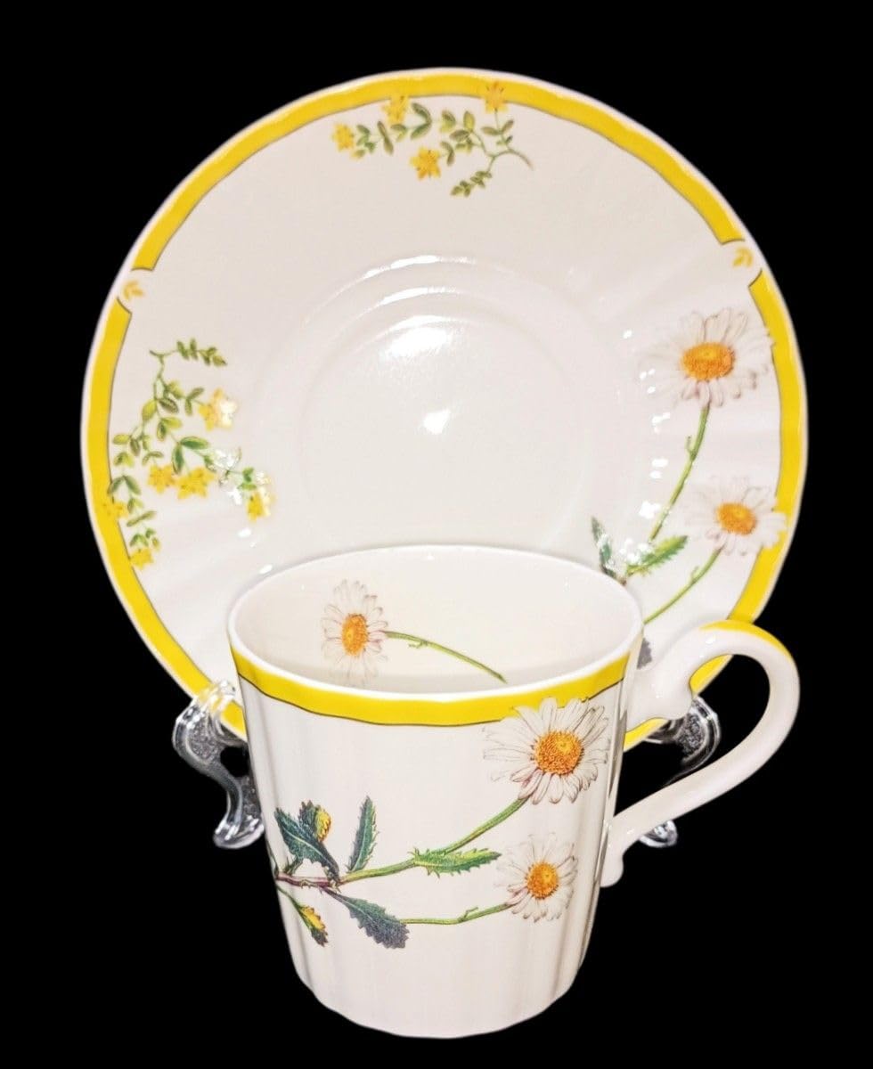 Amazon | 497 HOYA New Ivory カップ＆ソーサー コーヒー ティーカップ