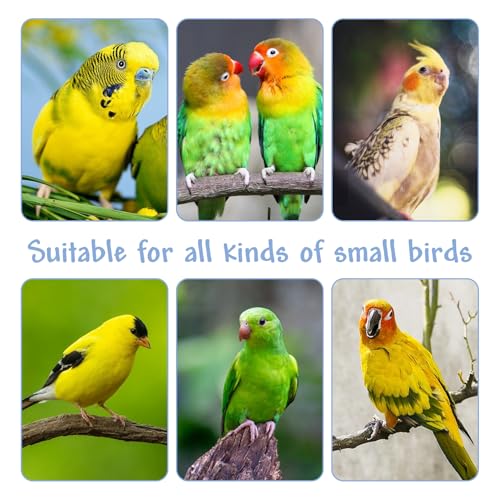 Image of Hamiledyi Parrot Cage Perches Stand Pole Parakeet Paw Grinding Stick Colorful Wood Perch Platform for Parakeets Cockatiels Lovebirds Green Cheeked Conures (7.8in, 3pcs)
