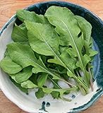David's Garden Seeds Leafy Greens Arugula 200 Non-GMO, Heirloom Seeds