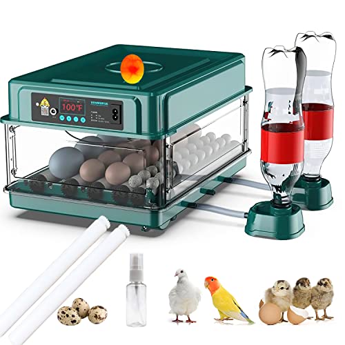 Top 10 Incubator For Quail Eggs of 2022 Katynel