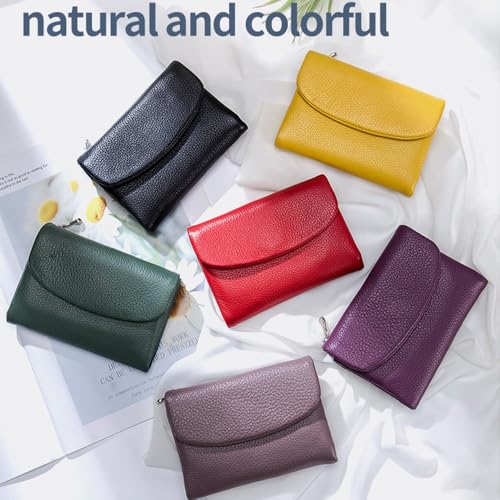 Unisex Pebble Leather Wallet, Short Genuine Leather Coin & Card Holder, RFID Blocking, Unisex Clutch Bags, Can Hold Coins, Id Cards (Taro Purple)2