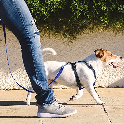 5 Pcs Safety Dog Collar Clips Prong Collar Backup Clips Adjustable Reflective Nylon Dog Collar Harness Connector Metal Double Ended Backup Clasp For Dog Harness Pet (Bright Color) #TOP6