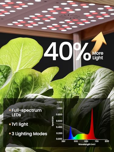 GROWNEER HydroEasy1.0 Hydroponics Growing System Kit, Beginner-Friendly Indoor Garden for Vegetable Fruit Herb, Solid Wood Design, Perfect Gift Idea, Full-Spectrum LED Lights for Maximum Growth - Image 4