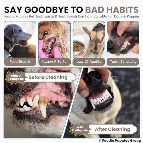 Image of Foodie Puppies Pet Dental /Oral Care Combo of Toothbrush and Toothpaste - (Triplehead Toothbrush + Chicken Toothpaste, 100g) | Removing Bad Breath, Tartar Dental Care Cleaning Combo