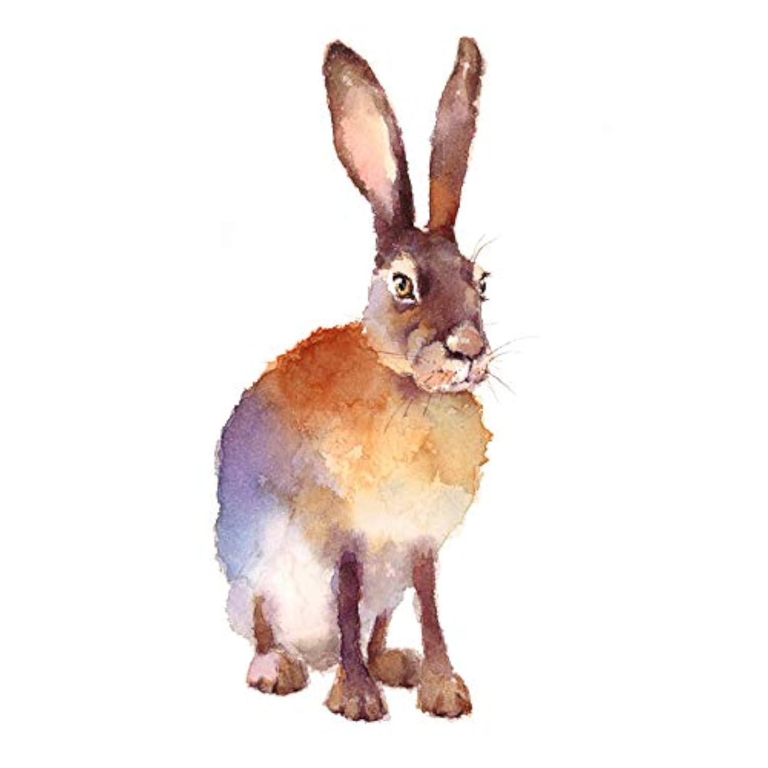 Wee Blue Coo Hare Watercolour Isolated Unframed Art Print Poster Wall Decor 12x16 inch