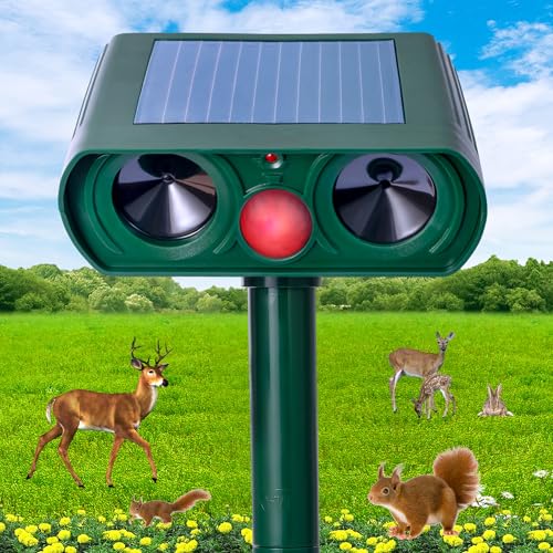 gފ \[[p[ h }~u O LAALclA_[gAlY~Ȃǂ(Vi)