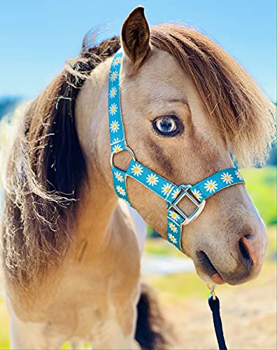 Star Point Horsemanship Daisy Printed Halter (Daisy, Large 33-40" Mini-Pony) #TOP5