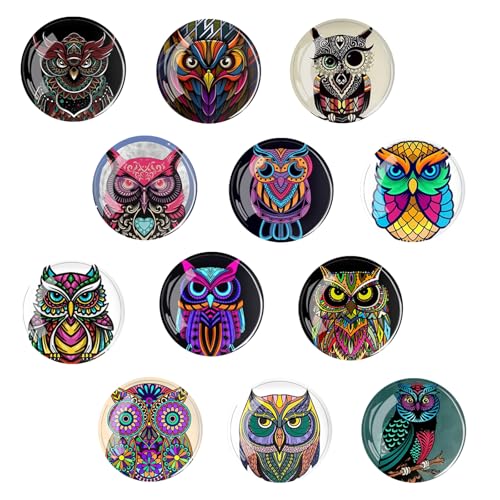 12 Imanes de Nevera 3D Animales Divertidos Imanes de Nevera para Niños Pequeños Imanes Redondos de Cristal Adecuados para Pizarras Blancas de Oficina, Refrigeradores, Fotos (B)