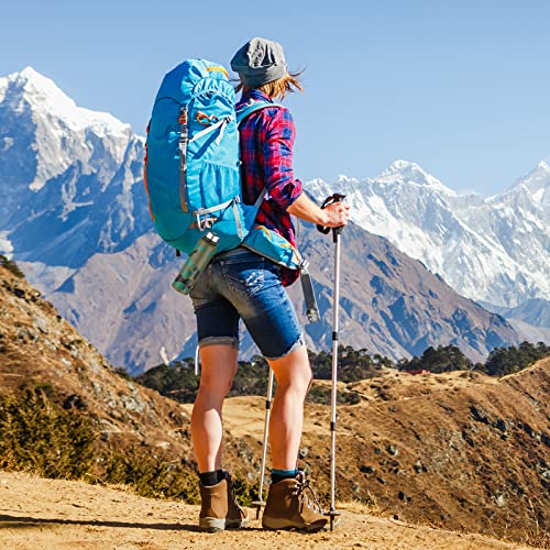 Image of sprookber 3 inch Aluminum Carabiner D Ring, Caribeener Clips, Spring Snap Hook for Keychain Clip, Set of 10