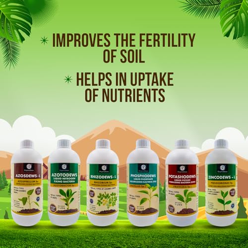 Image of OrganicDews Azospirillum, Azotobacter, Rhizobium, PSB, KMB, Zinc Solublizing Bacteria 1 Litre Bio Fertilizer Combo - Increases Soil Fertility, Plant Growth & Yield