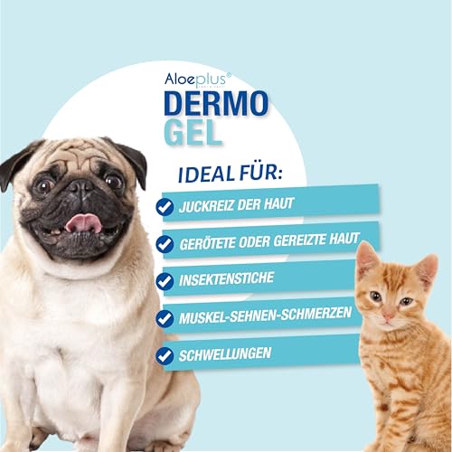 ALOEPLUS Hunde Dermo Gel 200ml - Beruhigend und Entstauend für empfindliche Haut, mit Aloe Arborescens BIO gegen Juckreiz, Reizungen, Insektenstiche und Schmerzen, 100% natürliche Inhaltsstoffe