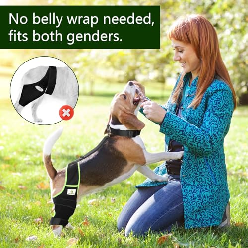 Image of Dog Knee Brace for Hind Legs with Extra Collar & Strap - Relieves Joint Pain & Discomfort, Enhances Mobility | Supports Recovery from Osteoarthritis, Torn ACL /CCL, Luxating Patella | Adjustable (S)