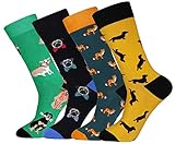 xiaomaizi Men's Colorful Various Dogs Pattern Dress Socks Funny and Novelty Cotton Casual Crew Socks 4 Pairs