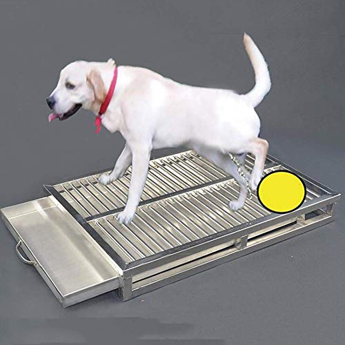 犬用トイレ ステンレス レギュラーサイズ 金属 レギュラーサイズ 犬用