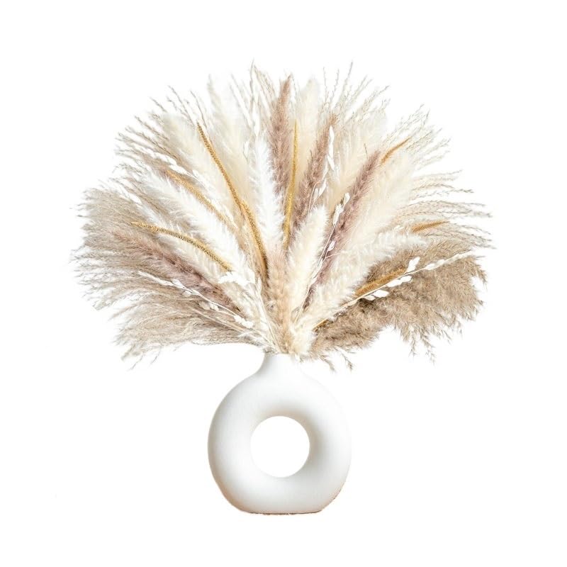 Pampas Grass Large Dried Pampas Grass Natural 70pcs miniatura 1