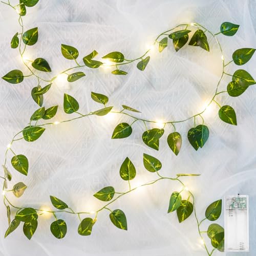 suddus Vines with Lights Battery Operated, 20 LED 6.56FT Fairy Lights Leaves with Timer, Pothos Vines String Lights for Bedroom,Dorm, Wall, Garden, Party, Christmas, Wedding Decor (Warm White)