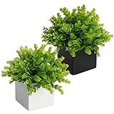 MyGift Artificial Plants in Black & White Square Ceramic Pots, Set of 2