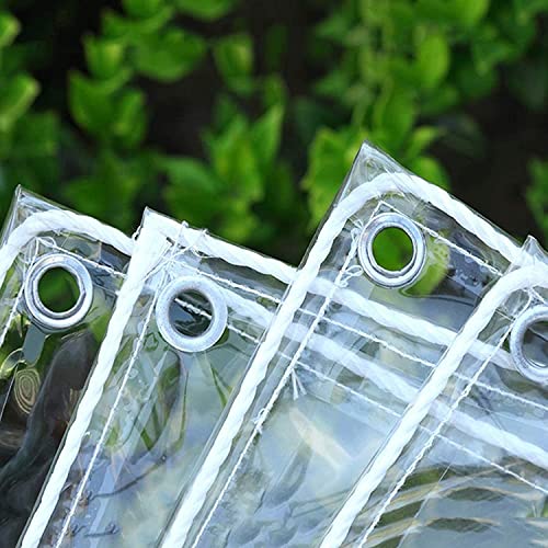 Lona Protectora Transparente con Ojales 0.9x2.9m 4