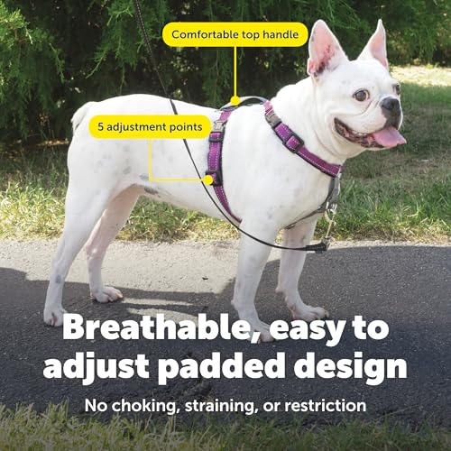 Image of PetSafe Plum 3-in-1 Harness, Small