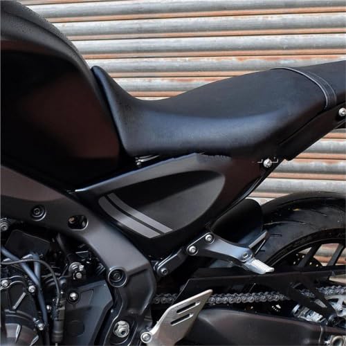 Placas protectoras marco ABS Yamaha MT09 acabado estructural 6
