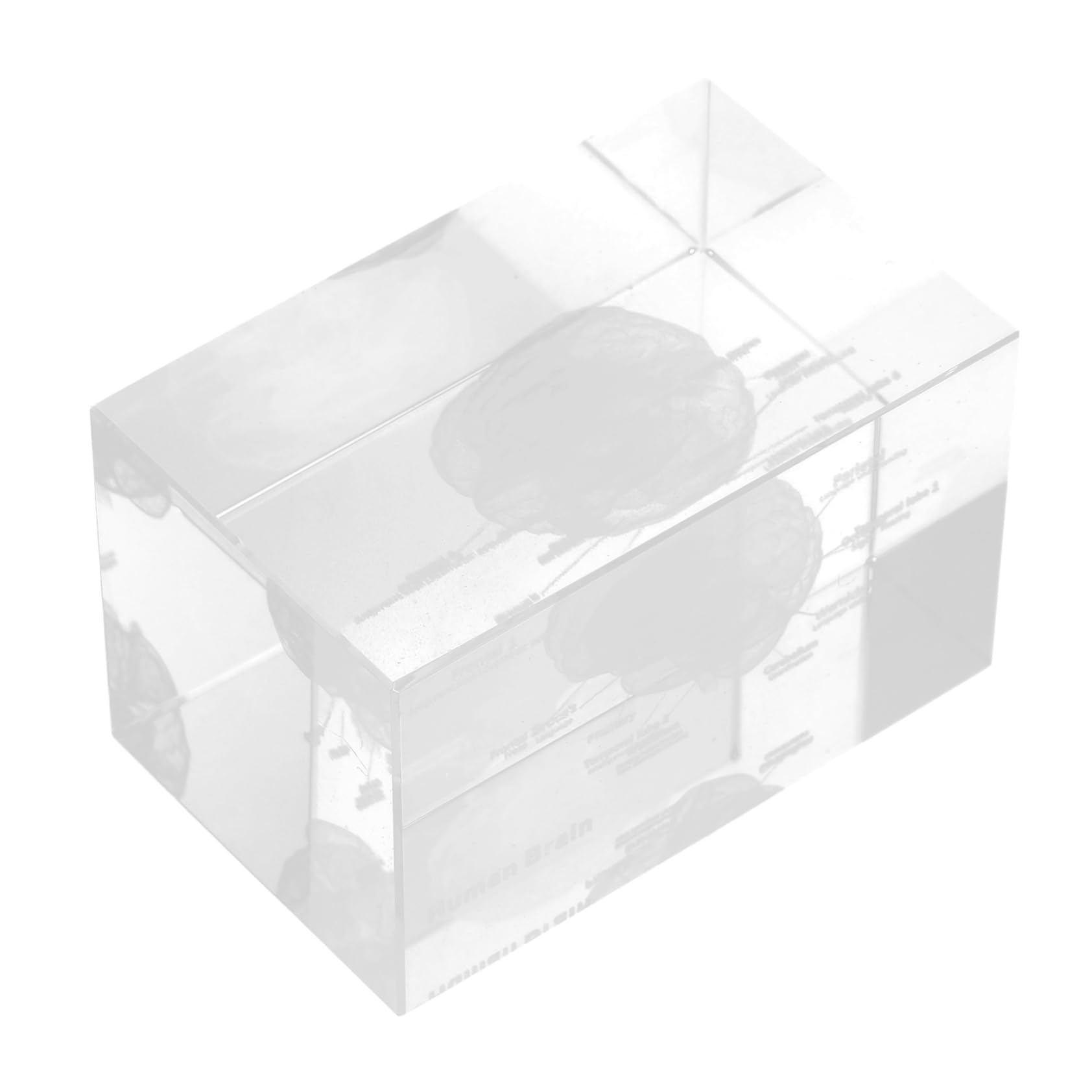 NIYANGLE Adornos tallados en cristal decoracion hogar decoración hogar decoración de cristal original figura del cerebro del cubo de estatuilla del cerebro humano Transparent