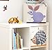 3 Sprouts Toy Storage Organizer: Toy Box Cube Organizer for Playroom, Nursery - Foldable Storage Bin - Rabbit