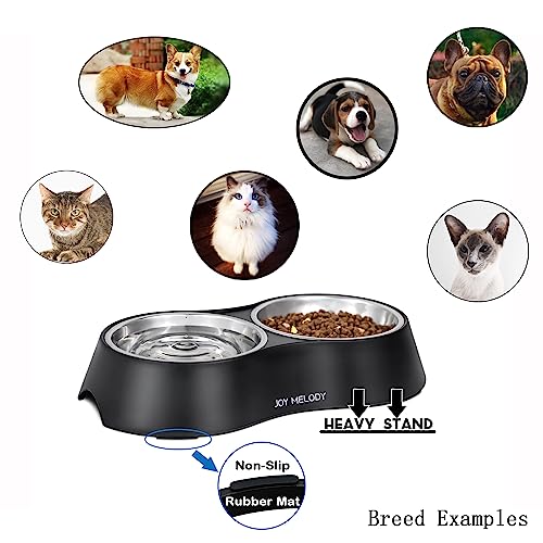 Joy Melody Cat Bowls With Stand For Food And Water, Anti-Slip Elevated Small Dog Dish, Anti-Flip Raised Pet Feeder, Dishwasher Safe With Microfiber Cloth #TOP1