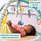 Disney Baby Stitch Party im Paradies – Aktivitätsspielzeug von Bright Starts mit Bauchlage-Kissen und 5 Spielzeugen zum Mitnehmen für Neugeborene und ältere Kinder