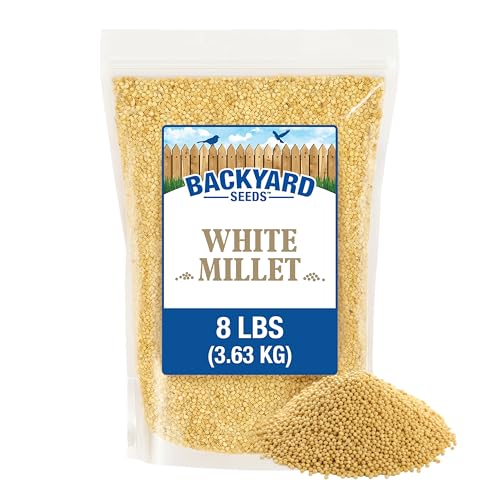 CountryMax White Millet Bird Seed 8 lb USA Grown Premium Finch Food for Wild Birds Finches Doves Sparrows & Quail High Energy Backyard Bird Seed for Ground & Feeder Use