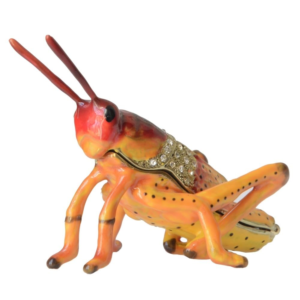 Amazon.co.jp: バッタの昆虫と虫のジュエリー小物ボックス